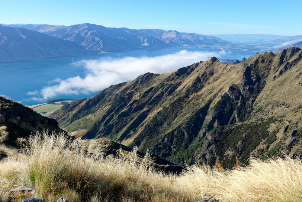 Wanaka, Isthmus Peak & Ridgeline Trail, Wanaka Wanaka, Isthmus Peak & Ridgeline Trail, Wanaka