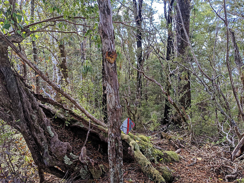 hiking path marker