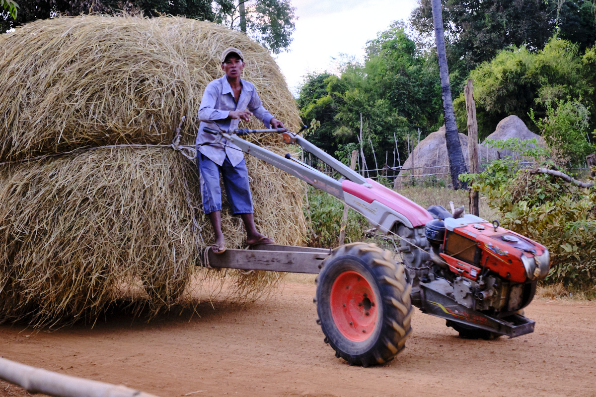 Farming Cambodia