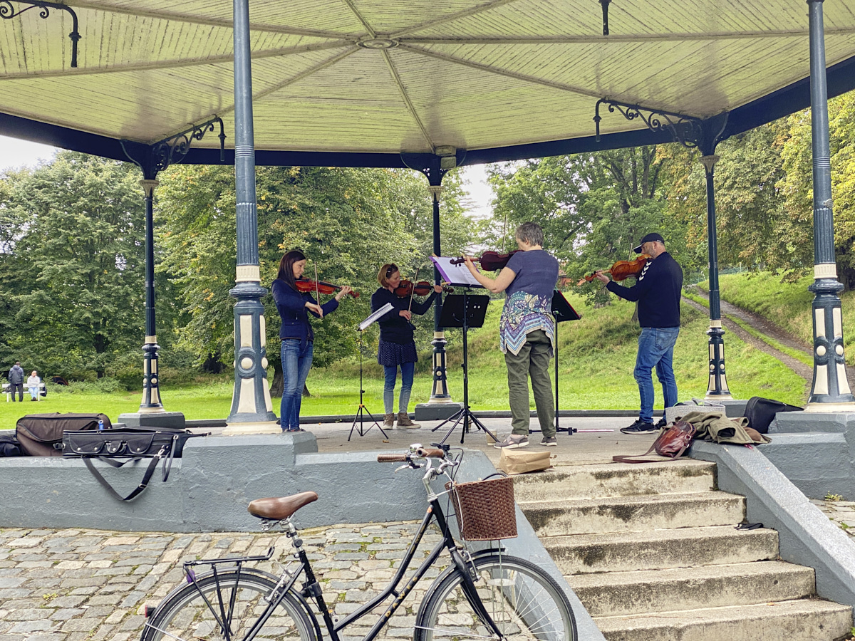 String quartet lessons in Phoenix park, Dublin