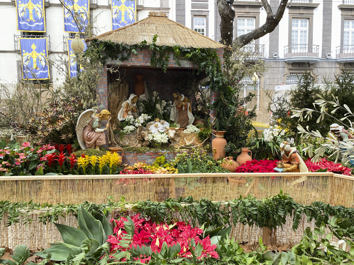 Nativity scene with many poinsettia