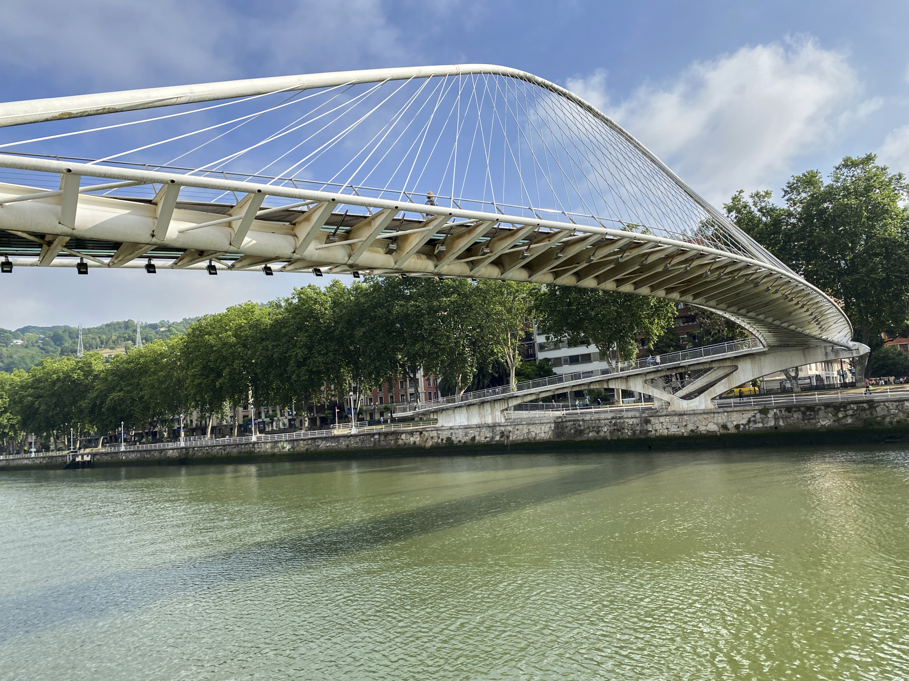 Bridge Zubizuri, architect Santiago Calatrava